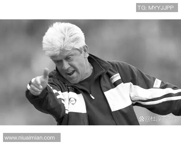 那些让人惋惜的足球遗憾球星与未竟辉煌的绿茵传奇故事