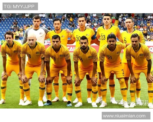 全球足球强国星级排名揭晓 各国实力对比全面分析